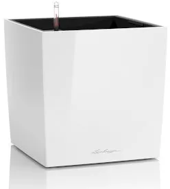 CUBE - White